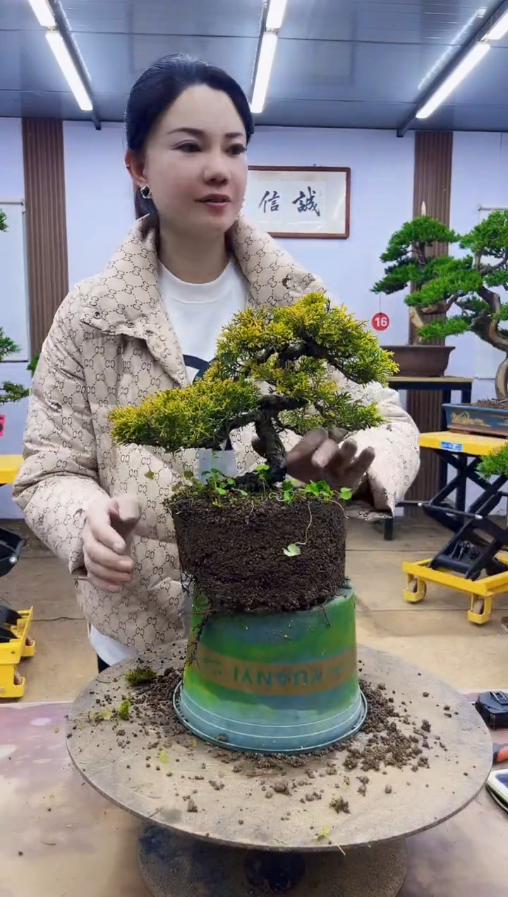 无花朵水*00000000000000000000000000000000000