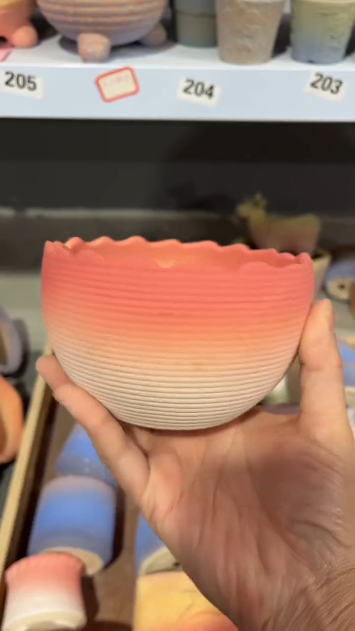 【闪购商品】陶内口11   内高8