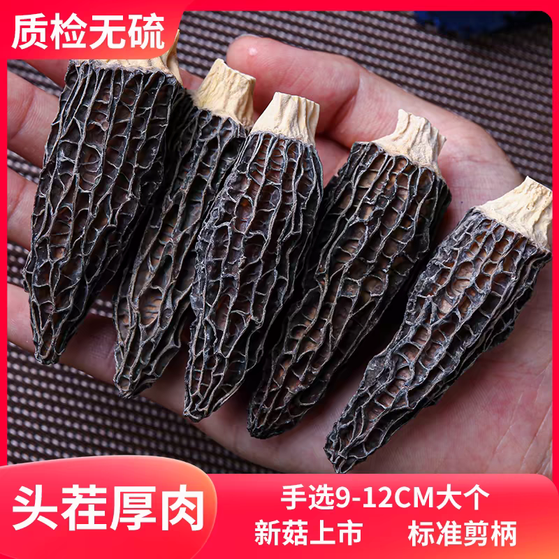 云南蘑羊肚菌干货50g250g500g纯新货菌菇新鲜精品批发