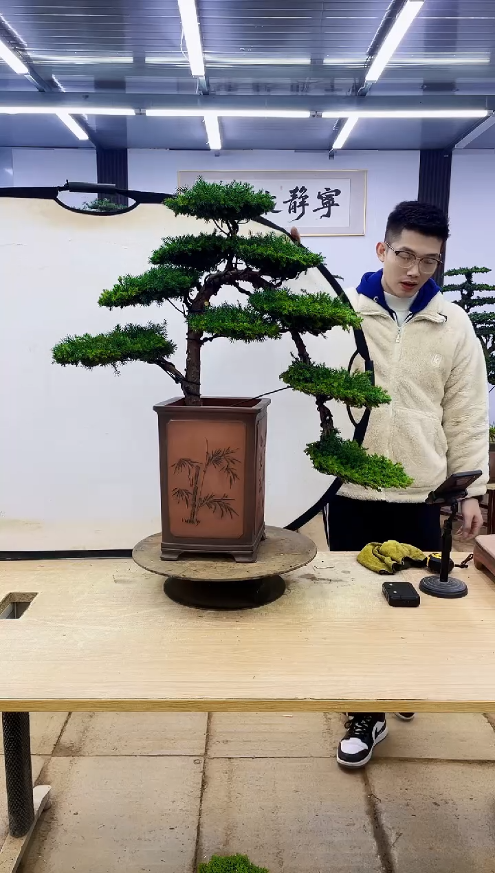 无花朵R****700000000000000000