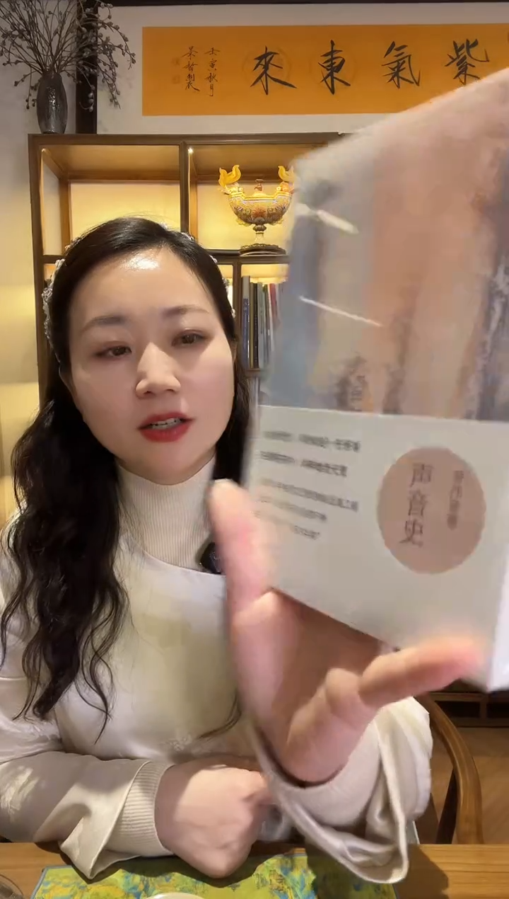 声音史 书籍一本 包邮