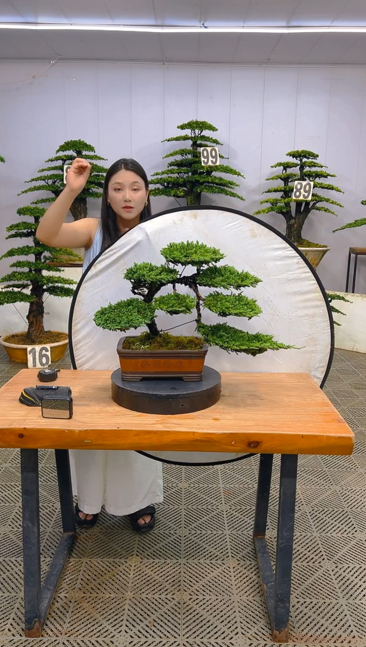 无花朵一物一拍一物一拍