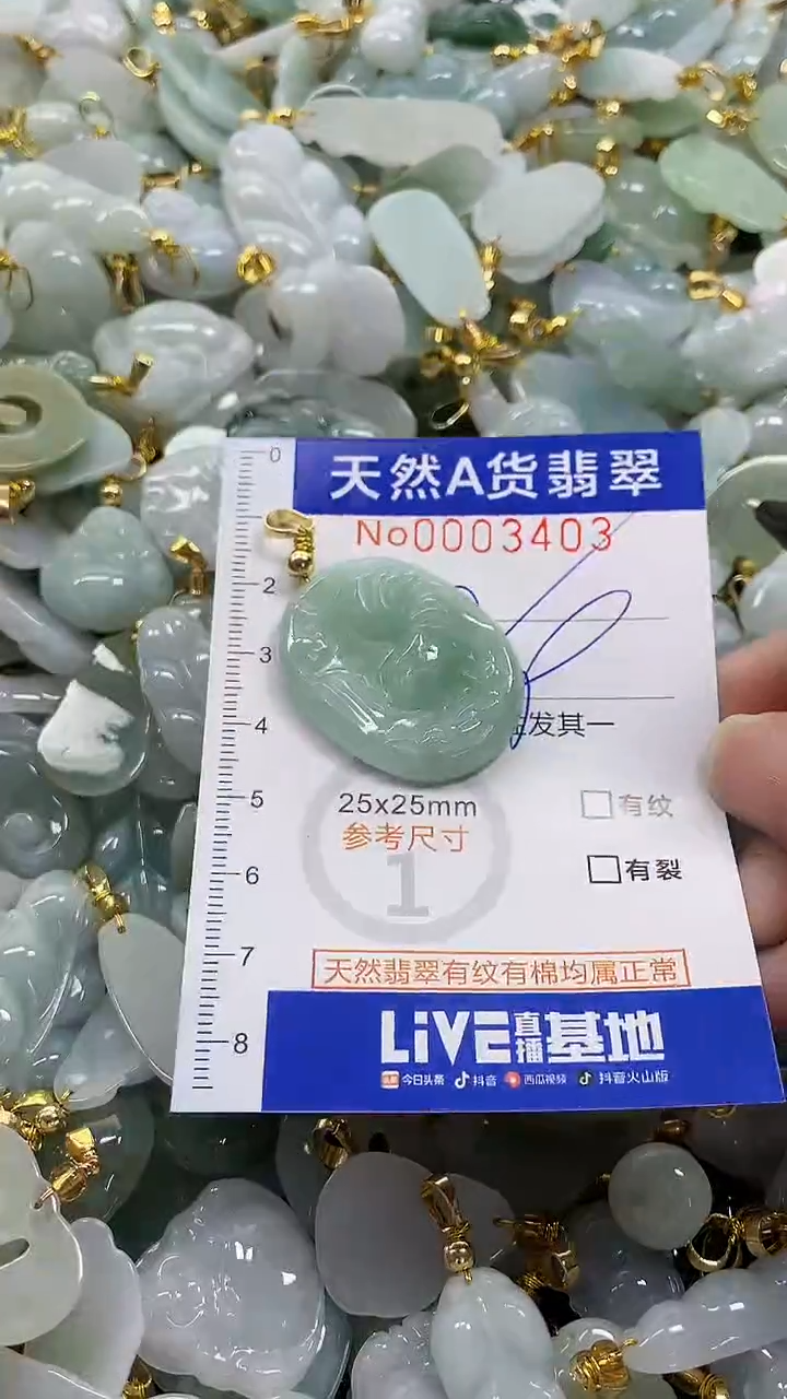 颈饰未镶嵌翡翠纯天然a货翡翠