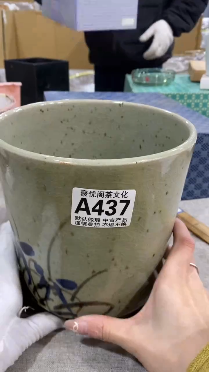 【闪购商品】碟聚优阁闪购商品A437