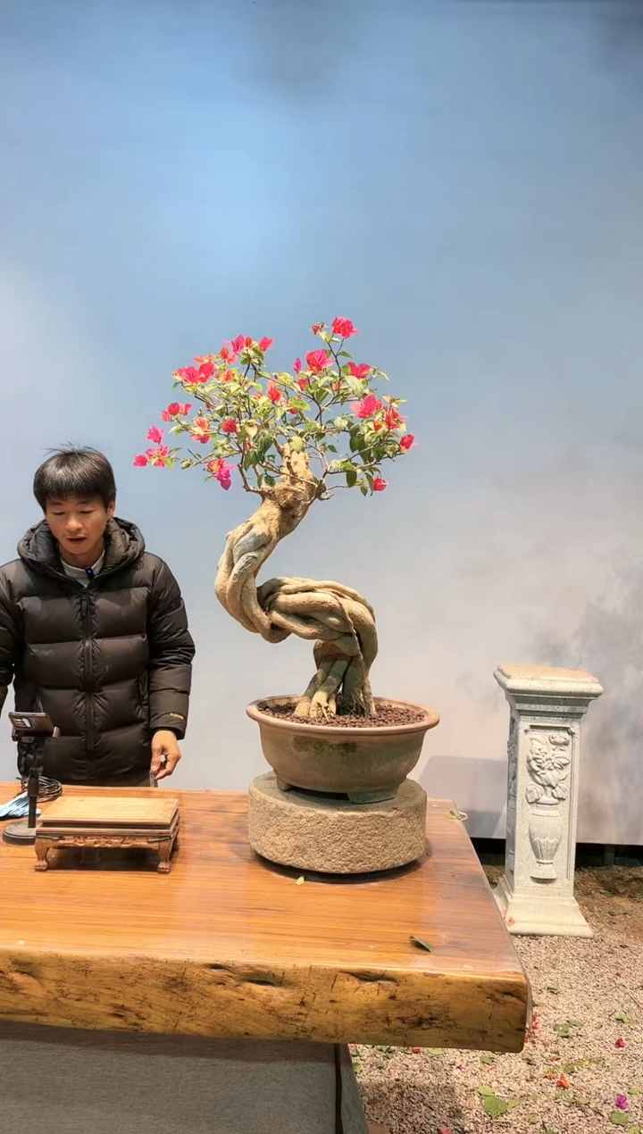 【闪购商品】AA928