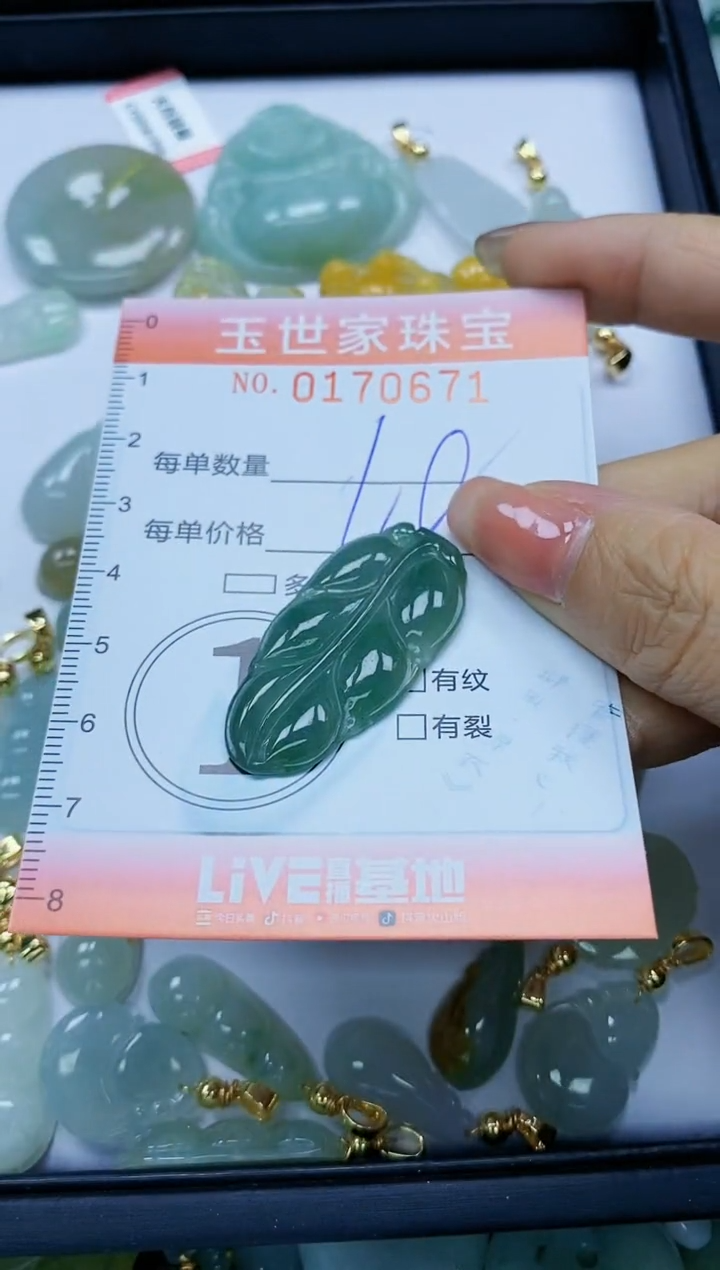 【闪购商品】翡翠颈饰未镶嵌闪购0170671