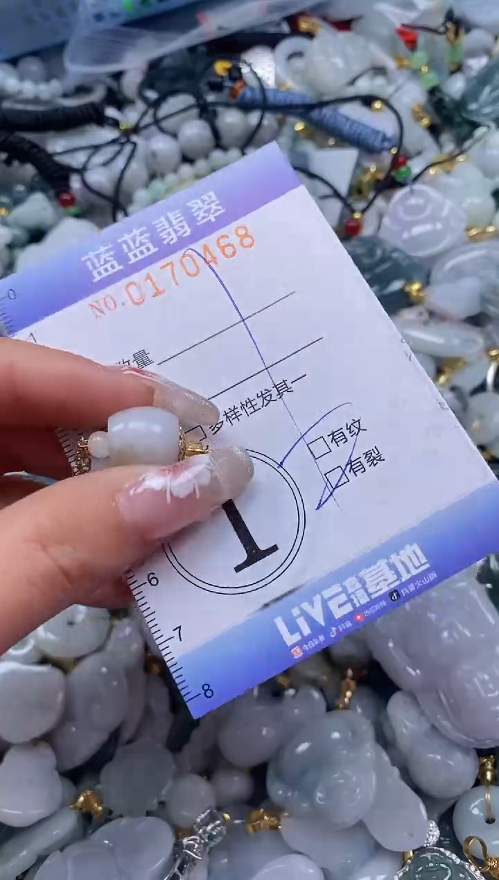 【闪购商品】翡翠颈饰未镶嵌闪购0170468