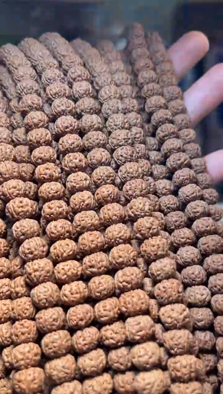 手串金刚菩提无利润超头精挑老树王108-10mm