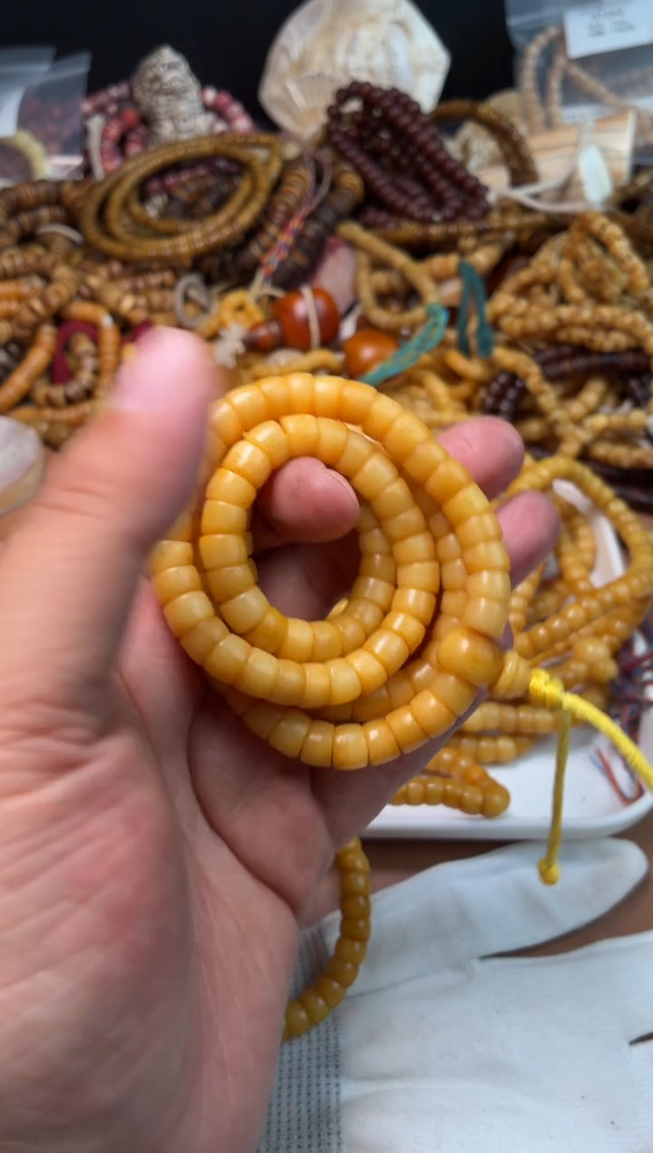 牛骨其他TT08-腿骨大肠长串货头-有棕裂