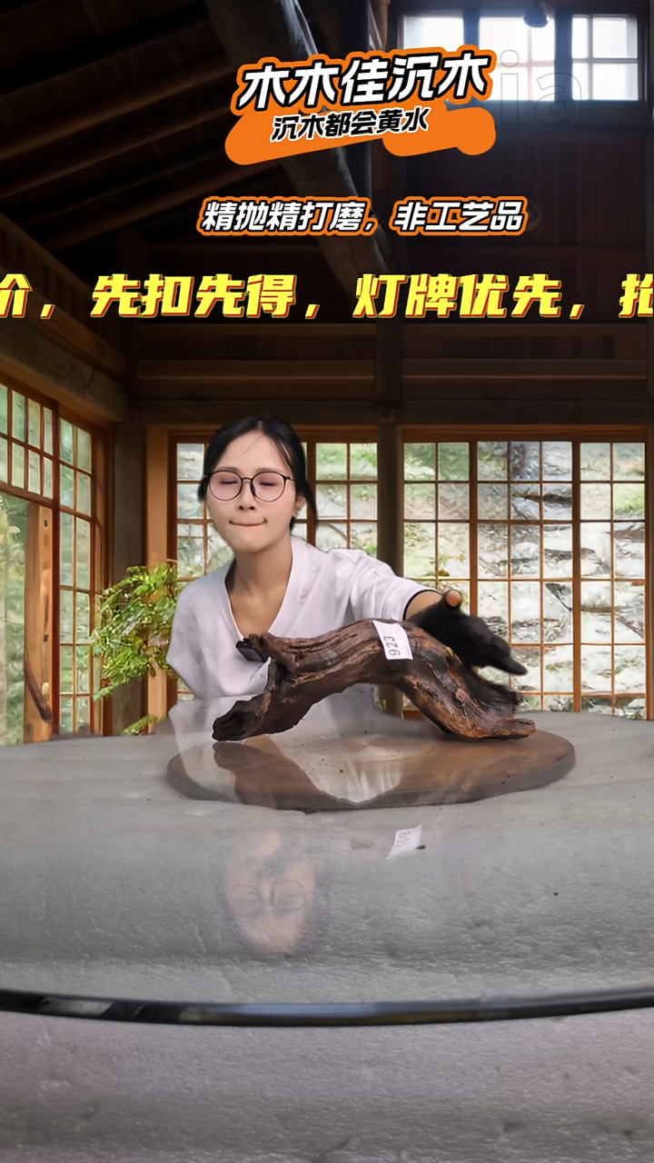 龙**呈木木佳鱼缸造景沉木-923