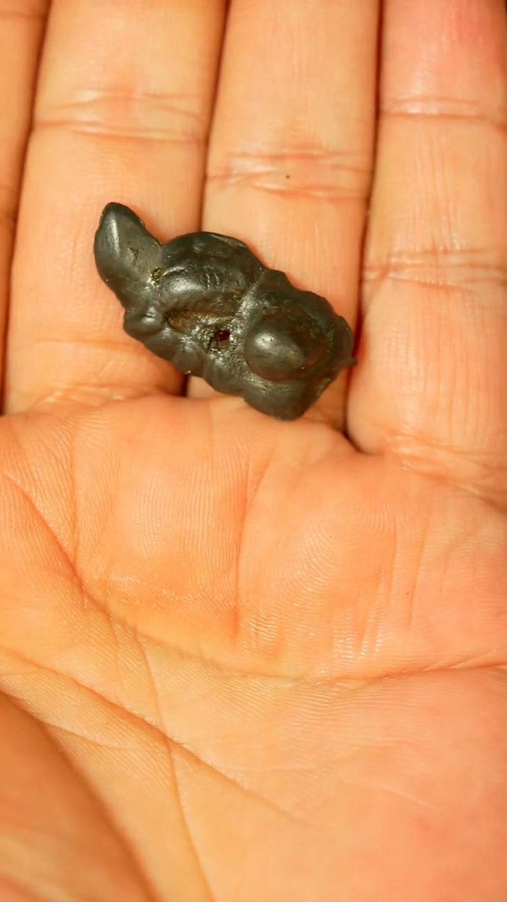 雪狮（多样性发货，发其一）