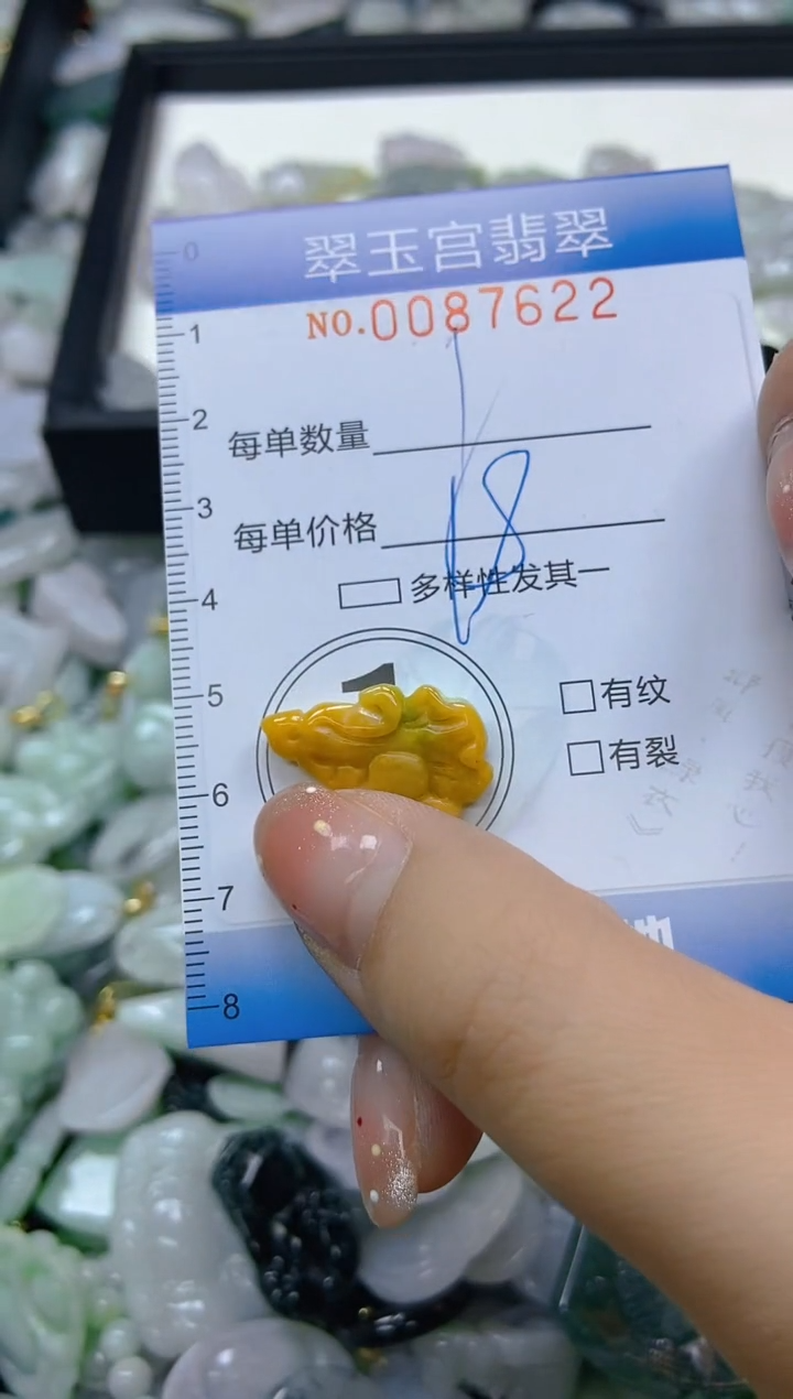 【闪购商品】翡翠颈饰未镶嵌闪购0087622