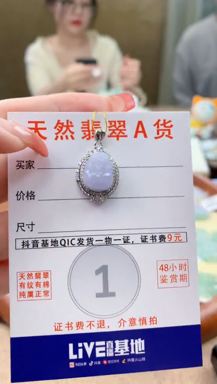 颈饰未镶嵌翡翠天然A货翡翠挂件