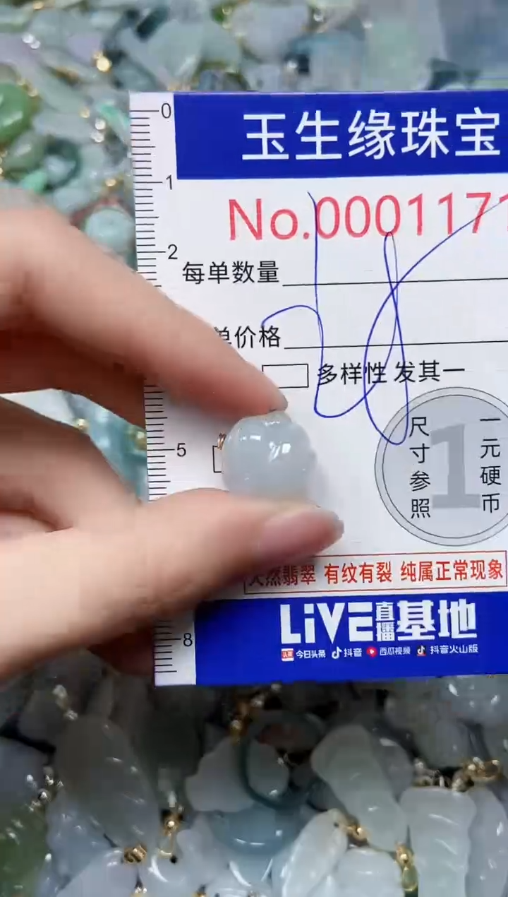 【闪购商品】翡翠颈饰未镶嵌闪购00001171