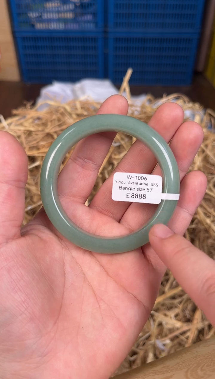 未镶嵌手镯石英质玉W1006