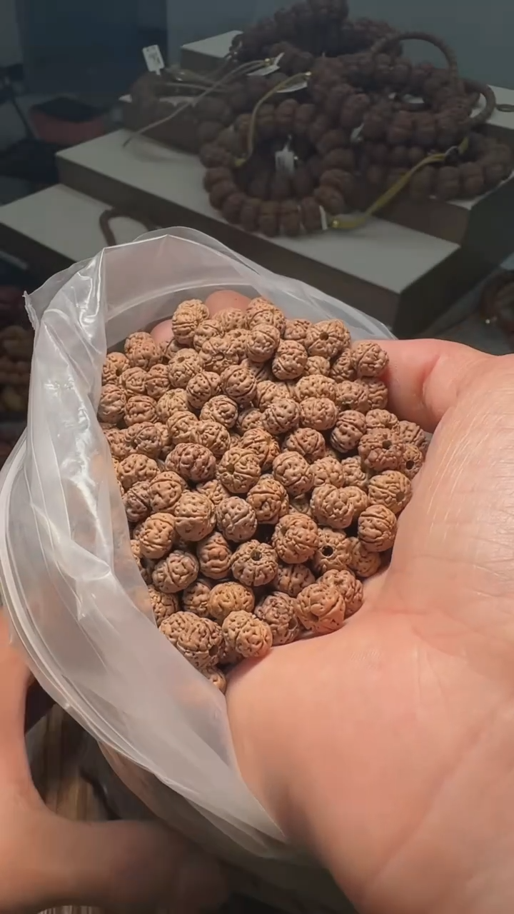 金刚菩提手串非全品老树王散籽9mm一份一百颗