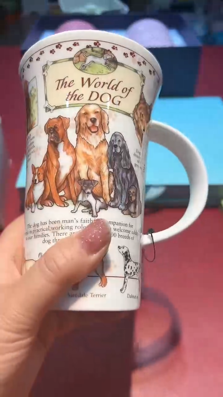 【闪购商品】瓷片锅碗瓢盆一件不剩