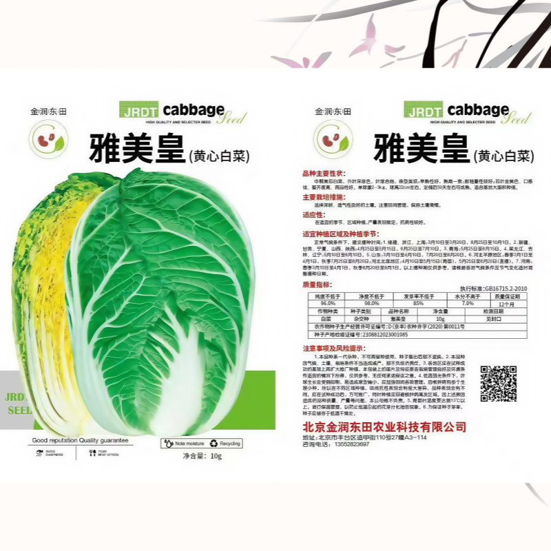 黄心大白菜种子水萝卜外叶深绿色株型美观正宗夏阳白菜种子
