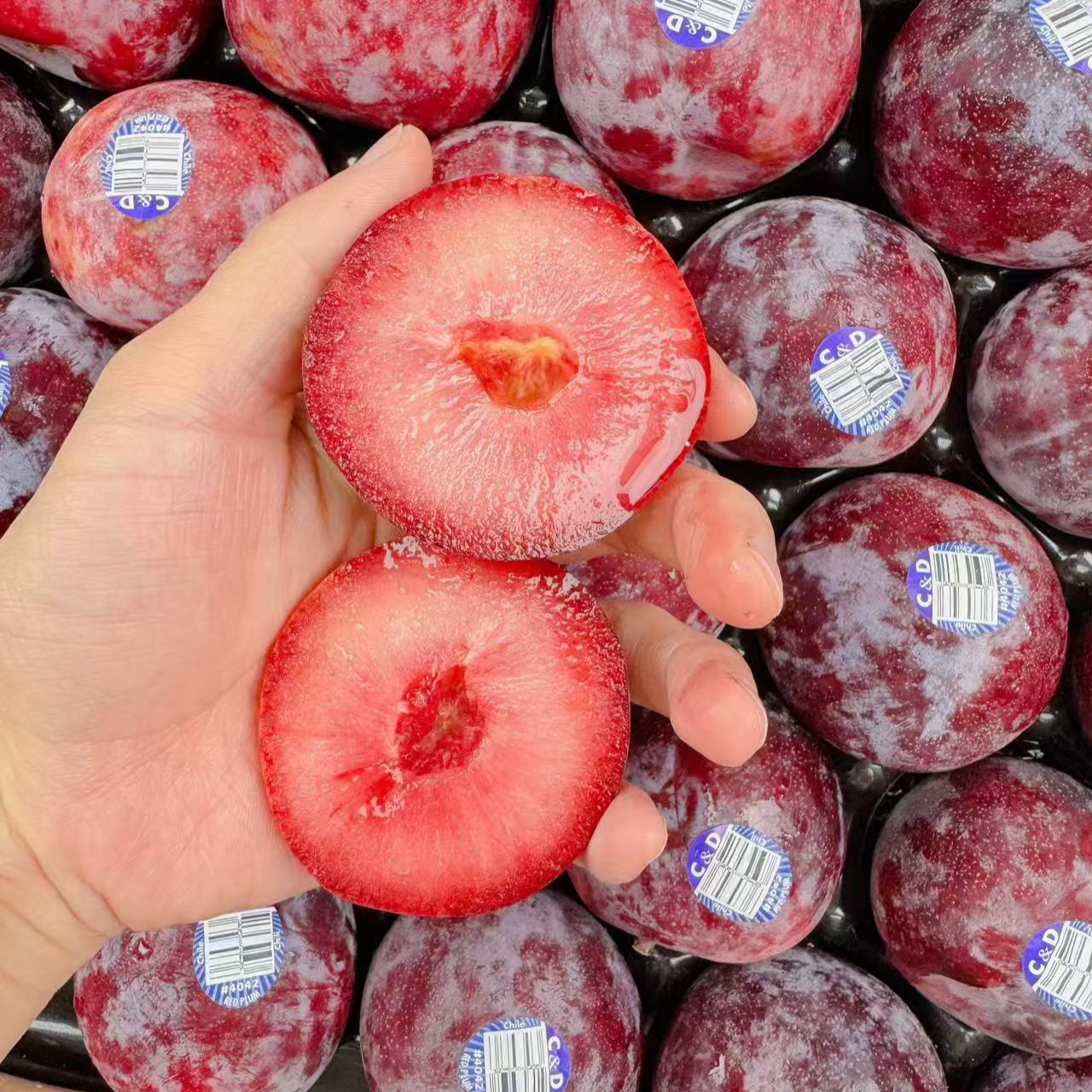 【智利进口玫瑰李子】2斤新鲜水果当季孕妇樱桃李红布林（转糖后软甜爆汁，运输途中表皮剐蹭有花皮介意勿拍）