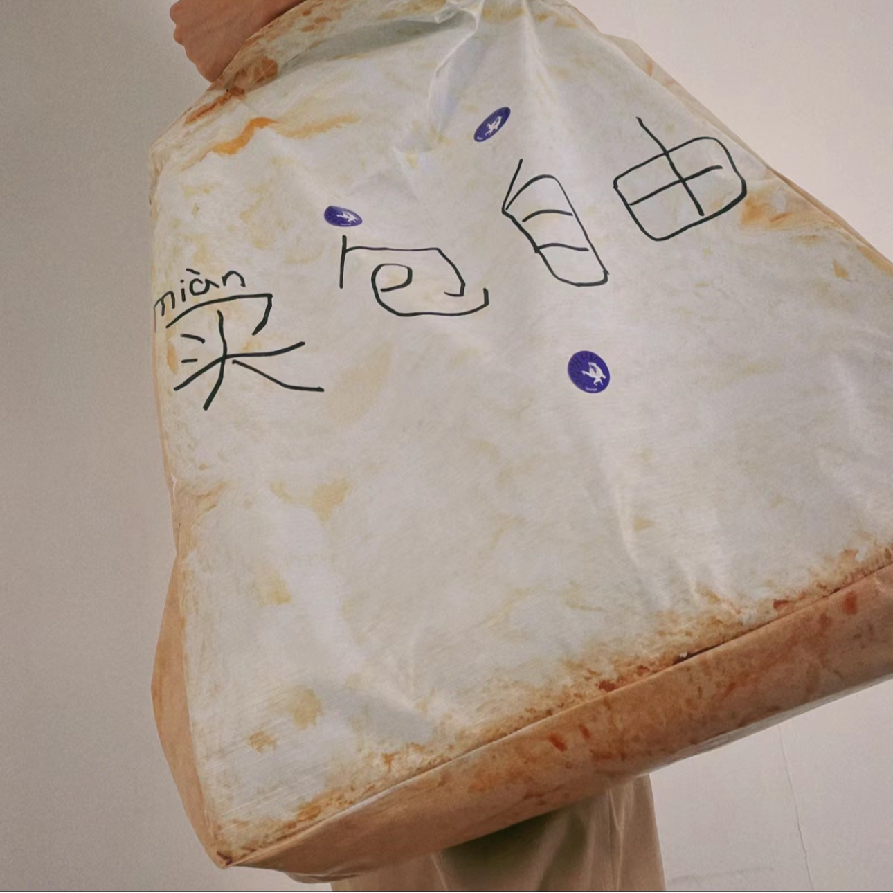 高级感轻奢小众包包1