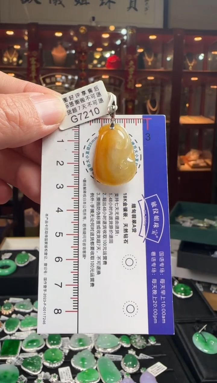 【闪购商品】翡翠颈饰18K金镶嵌G7210 冰红如意