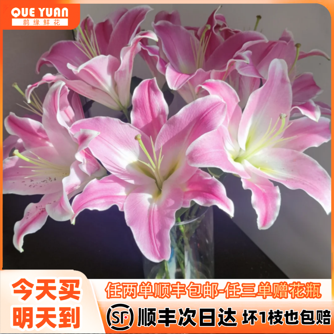次日达-【粉色百合】6头粉百合鲜花批发直播任意两单升级顺丰包邮三单送随机花瓶一个今天拍明天到