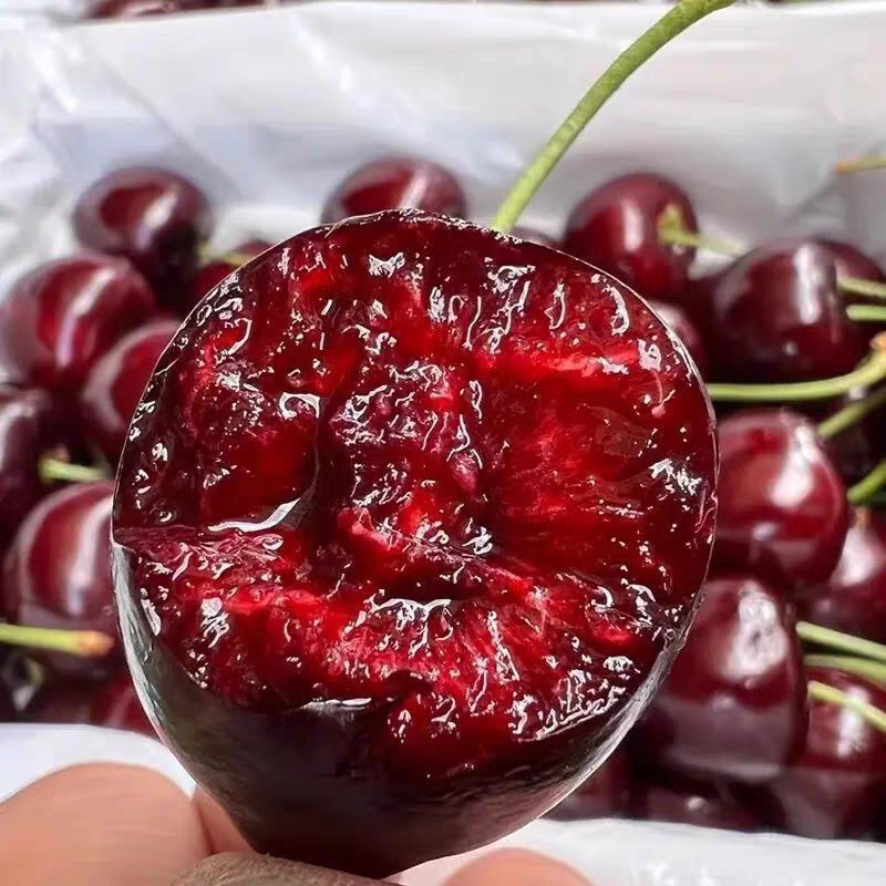 【大果】3JD桑提娜车厘子空运货脆甜可口净重五斤内附果径卡