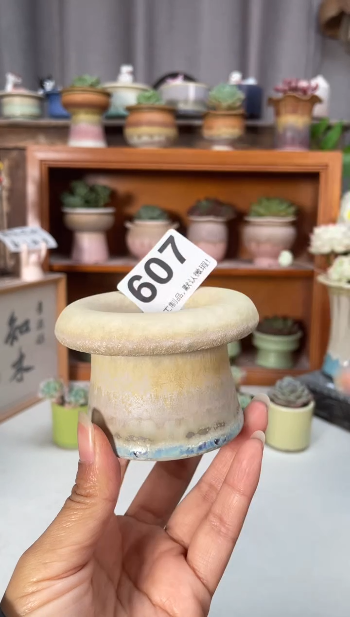 瓷片607知木小芳花盆