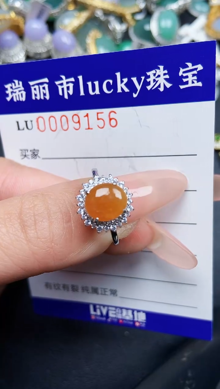 【闪购商品】翡翠颈饰银S925镶嵌9156