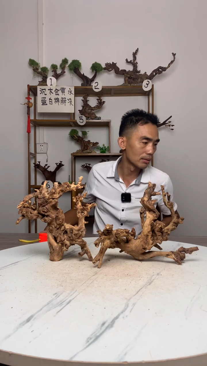 ?****?鱼缸造景沉木摆件