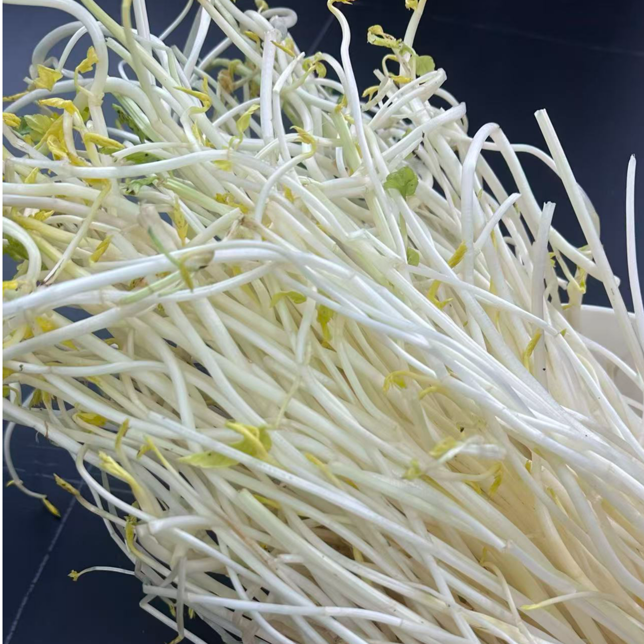 【助农】白芹溧阳特色自然壅土芹菜现挖现发拍两斤送半斤