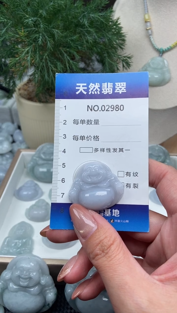 颈饰未镶嵌翡翠纯天然A货缅翡2980