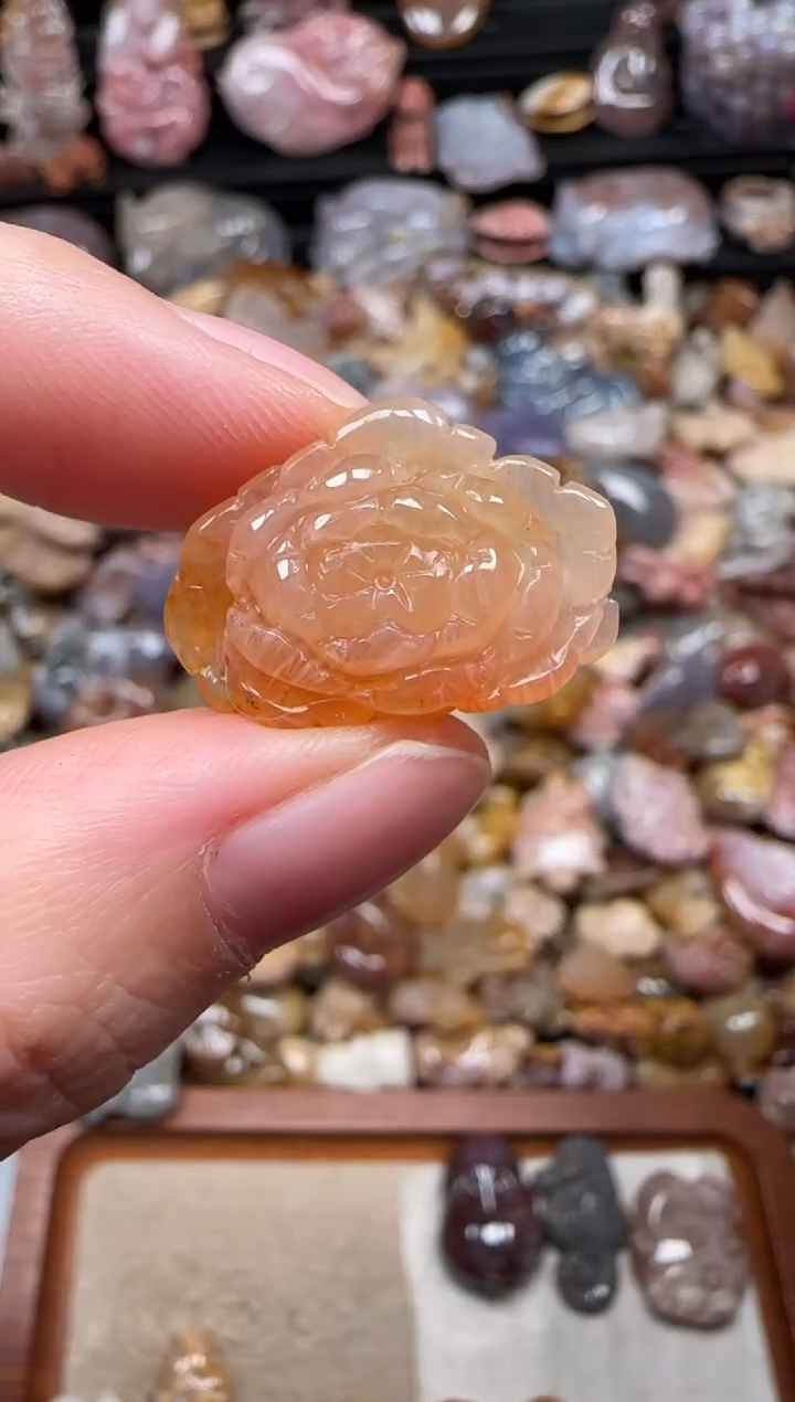 颈饰未镶嵌硅化珊瑚（珊瑚玉）887