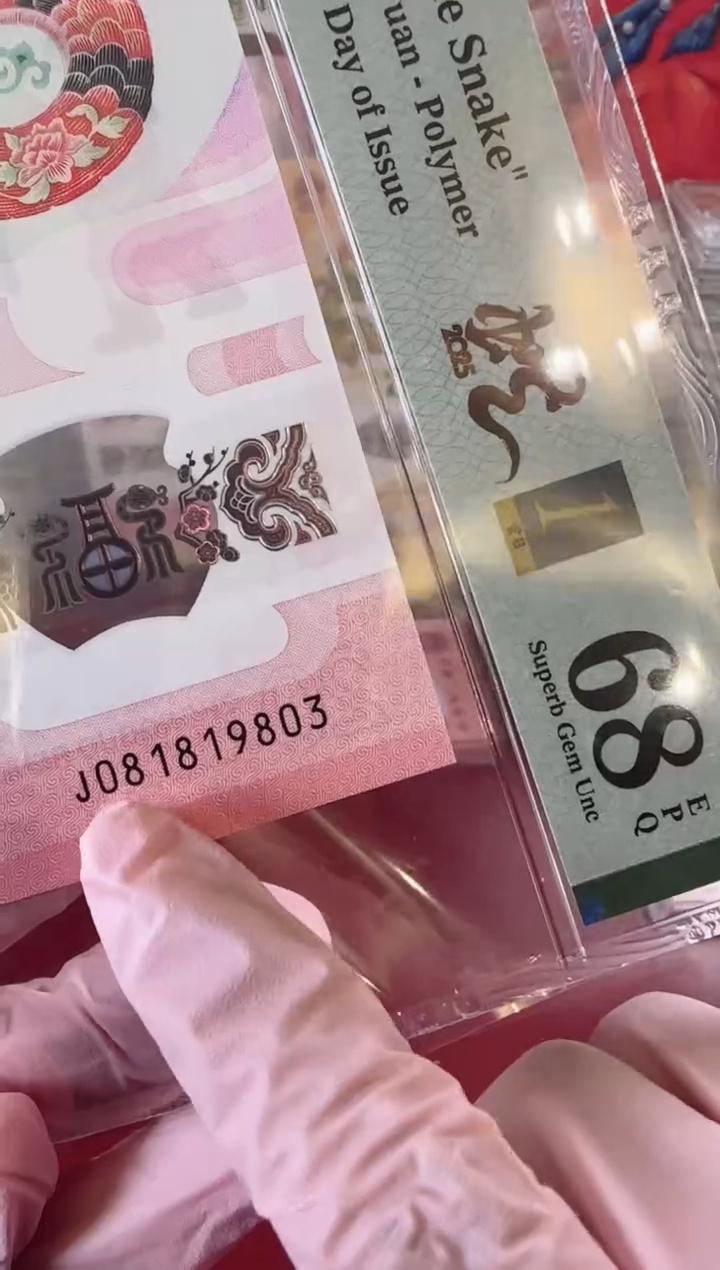 【闪购商品】塑料2025蛇钞单张裸啊啊啊啊啊