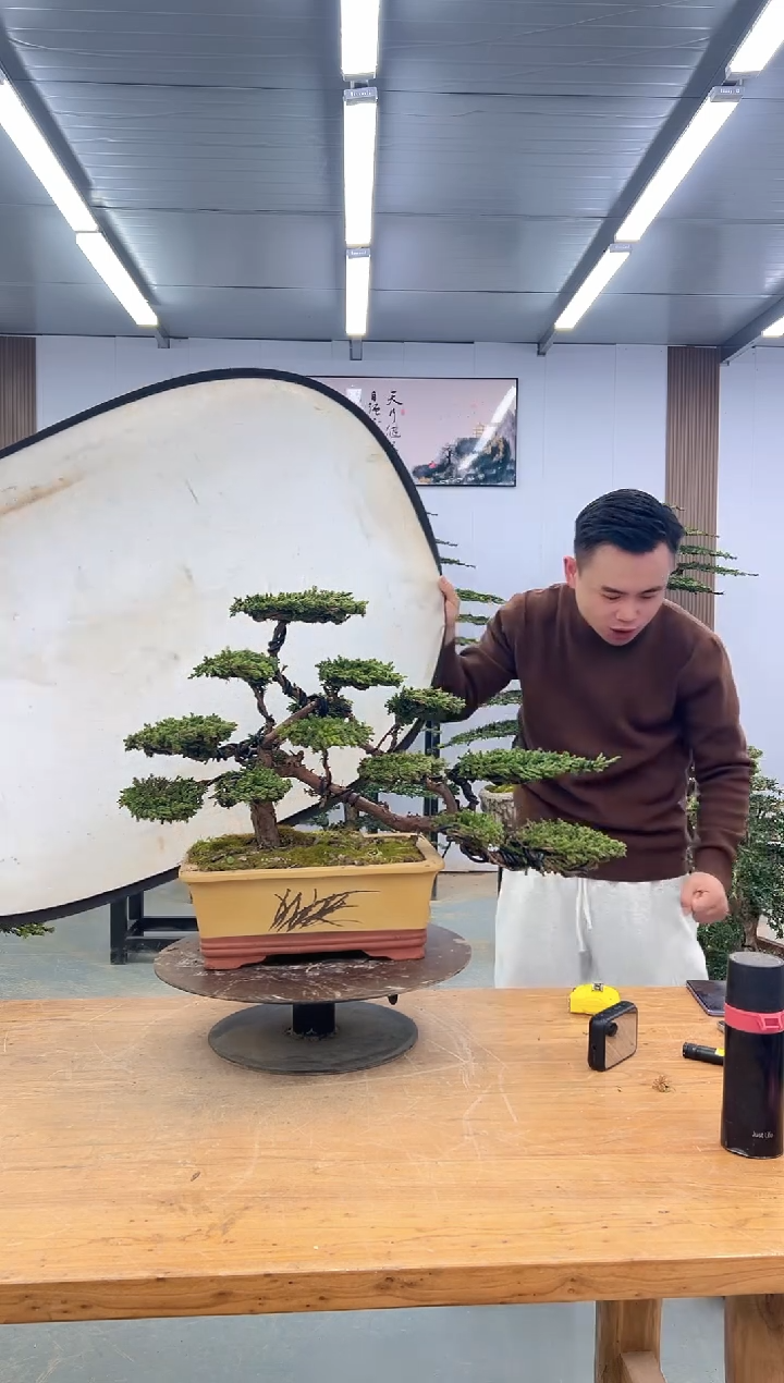 无花朵0000000000000