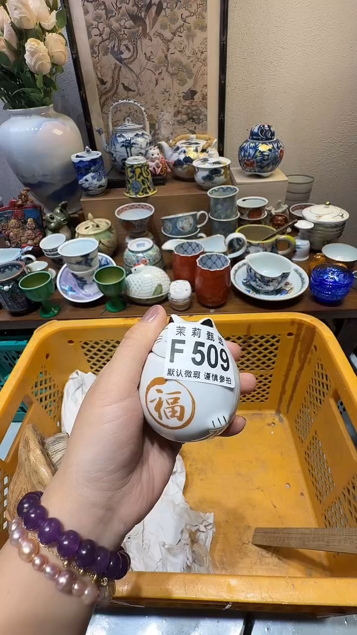 瓷片芽*?茉莉甄选一号商品509