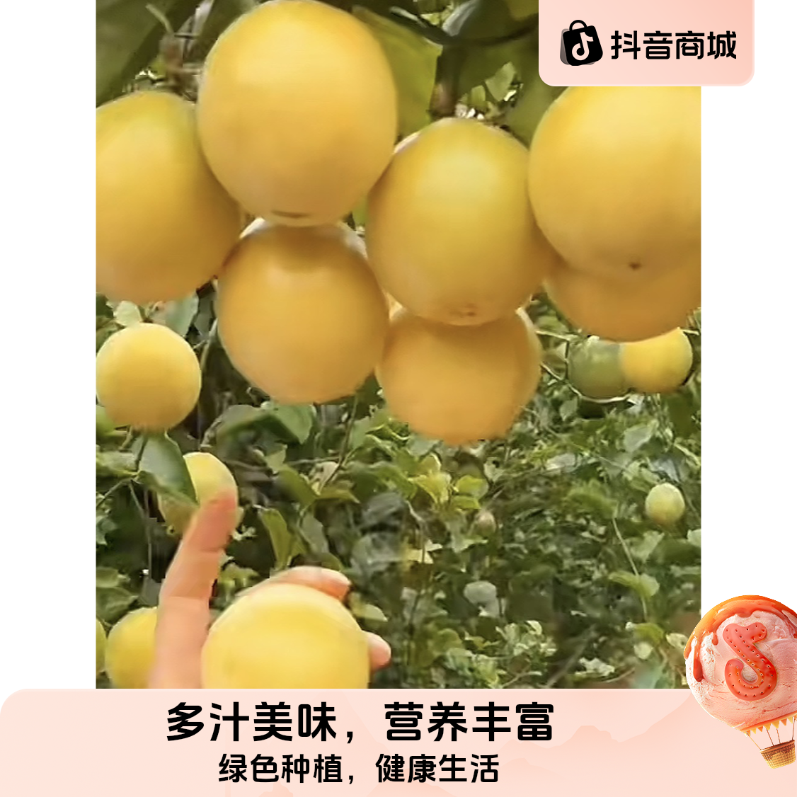 纯甜正宗钦蜜9号黄金百香果云南高山种植新鲜当季水果产地直发
