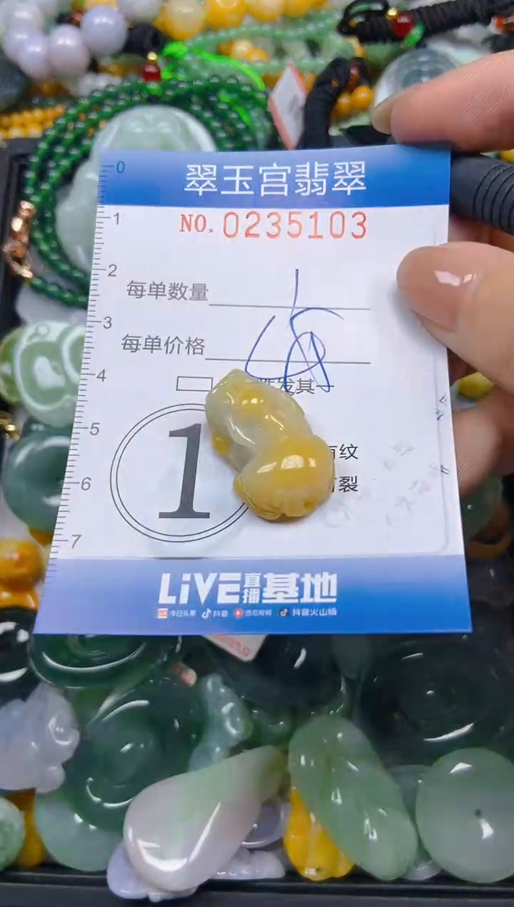 颈饰未镶嵌翡翠闪购C0235103