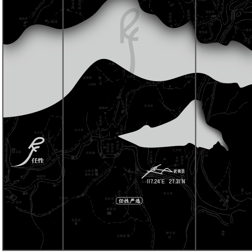 【任性】金奖水仙月 1泡