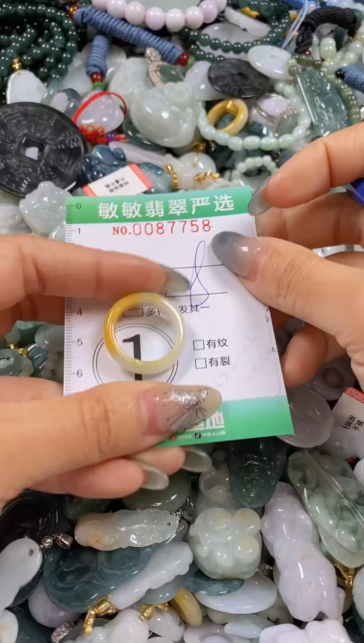 【闪购商品】翡翠颈饰未镶嵌闪购0087758