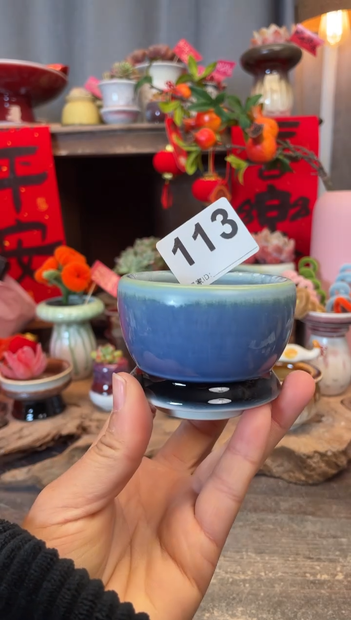 【闪购商品】摆件113知木小芳花盆