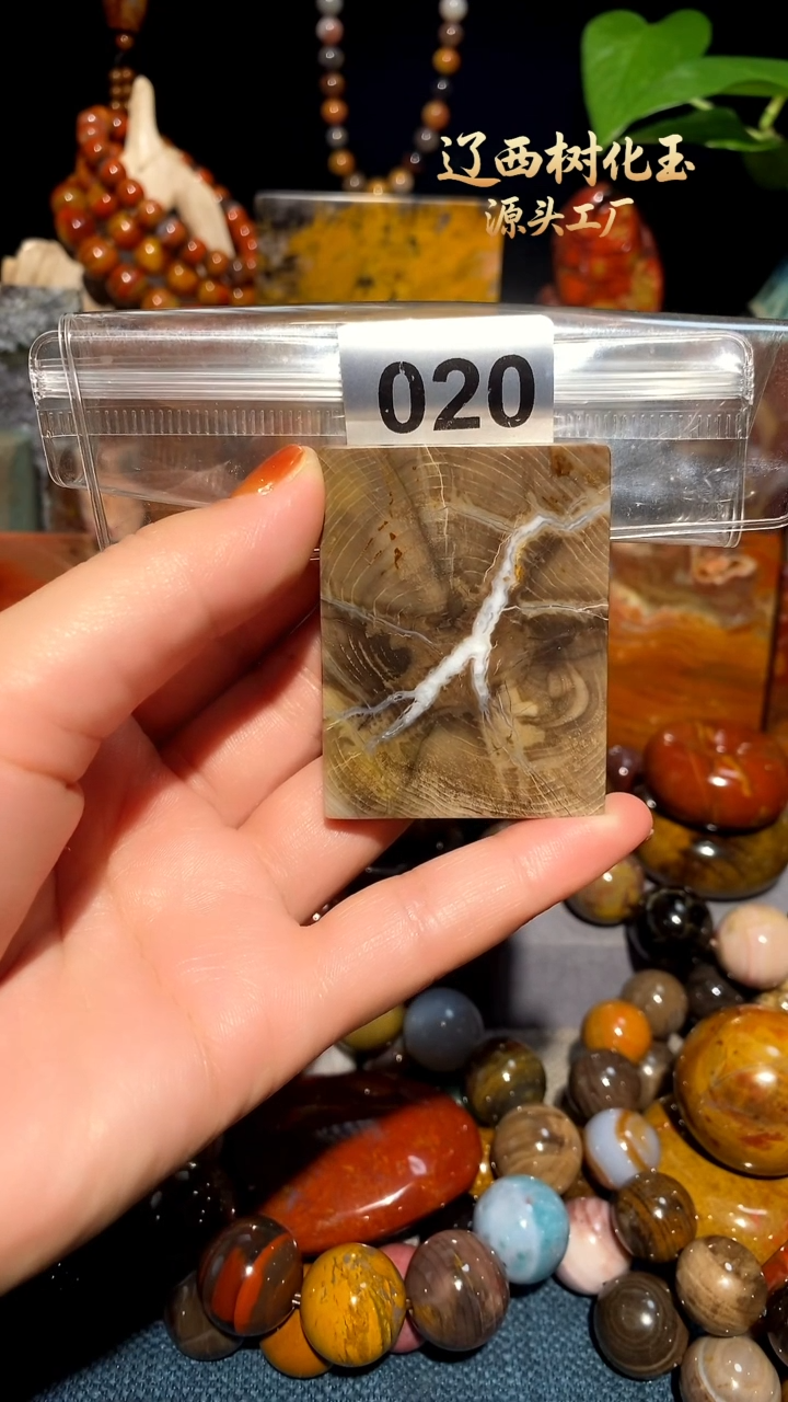 未镶嵌-硅化玉天然北票硅化玉吊坠