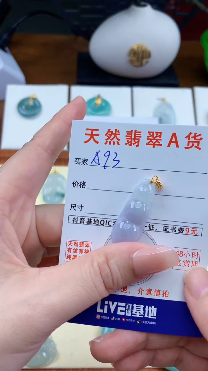 颈饰未镶嵌翡翠天然A货翡翠挂件