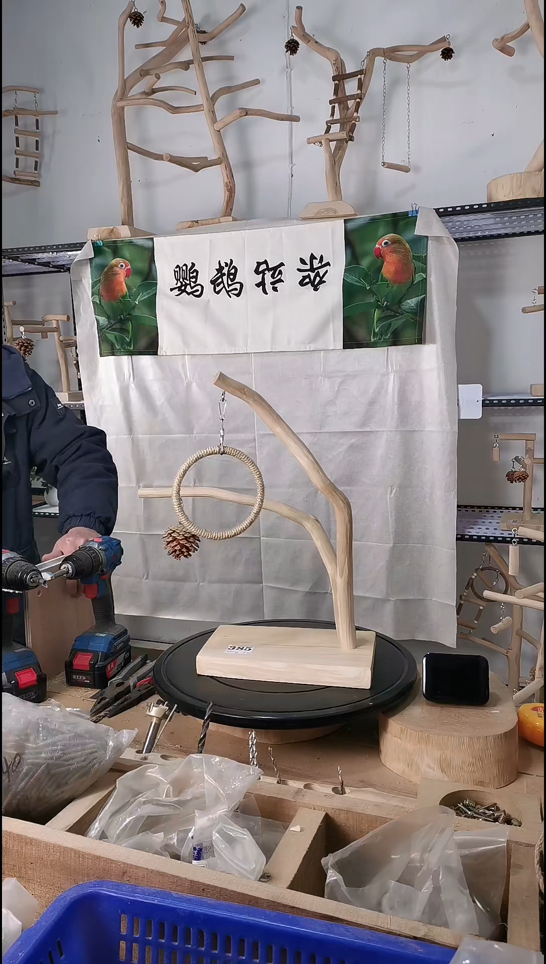 绿**野鹦鹉站枝站架编号385