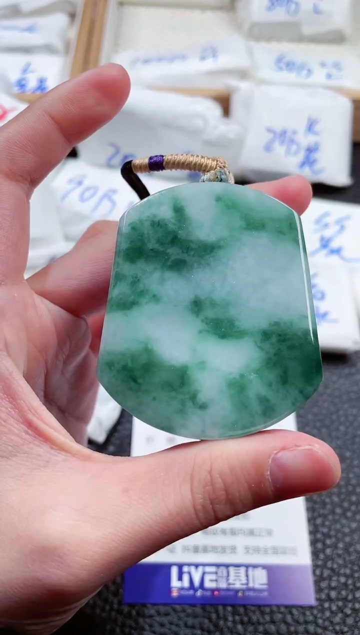 【闪购商品】翡翠颈饰未镶嵌00015881