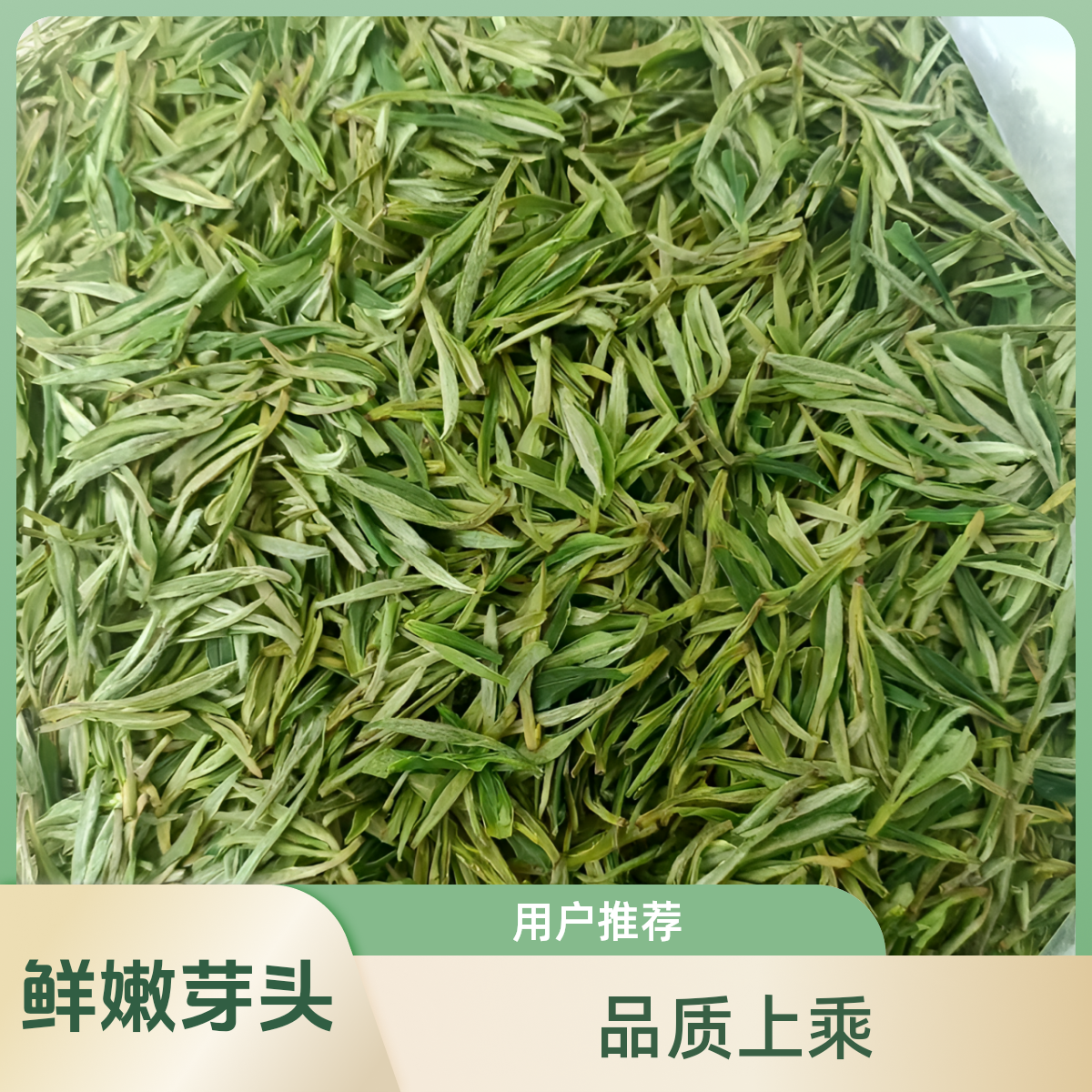 茶 绿茶 汀溪兰香 凌雾兰香 绿茶