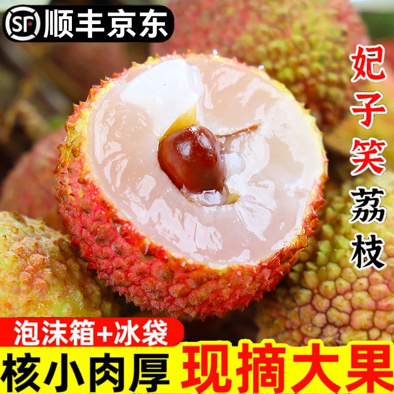 6-27日现货【明日达顺丰京东】5斤装海南直采老树荔枝新鲜水果妃子笑ZB海南省