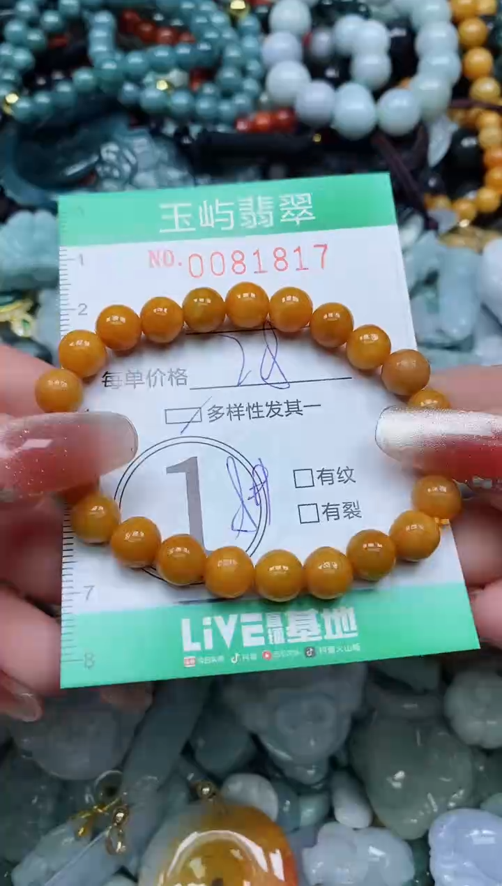 【闪购商品】翡翠颈饰未镶嵌闪购0081817多样性发其一