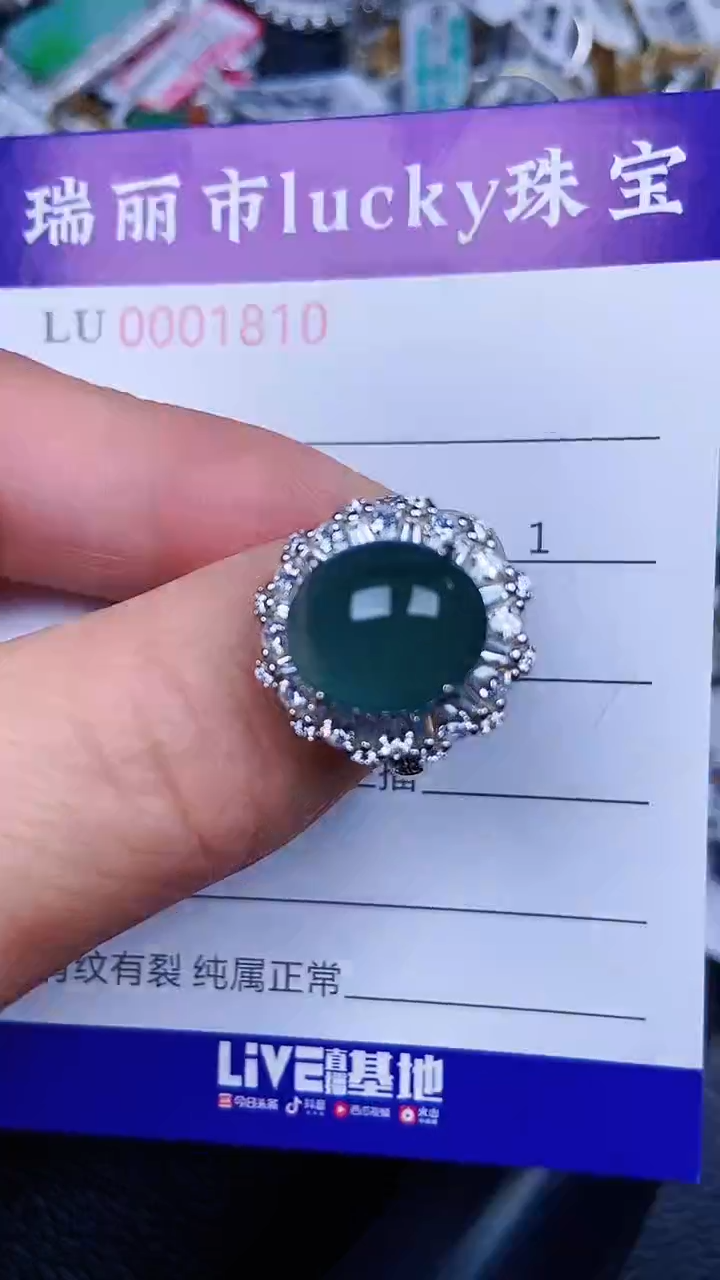 颈饰银S925镶嵌翡翠1810