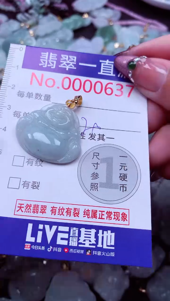 颈饰未镶嵌翡翠637